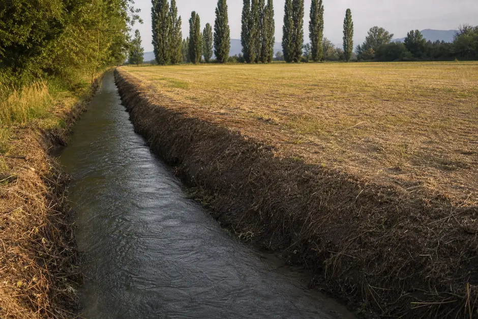 Canale d'irrigazione lungo il bordo di un campo, sponde ripulite, acqua in movimento, pioppi in lontananza (immagine generata con AI)