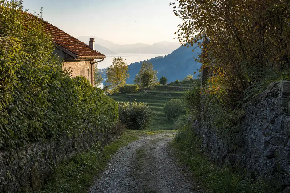 Strada di campagna fra siepi che si apre su campi terrazzati, colline e un lago nella foschia all'orizzonte (immagine generata con AI)