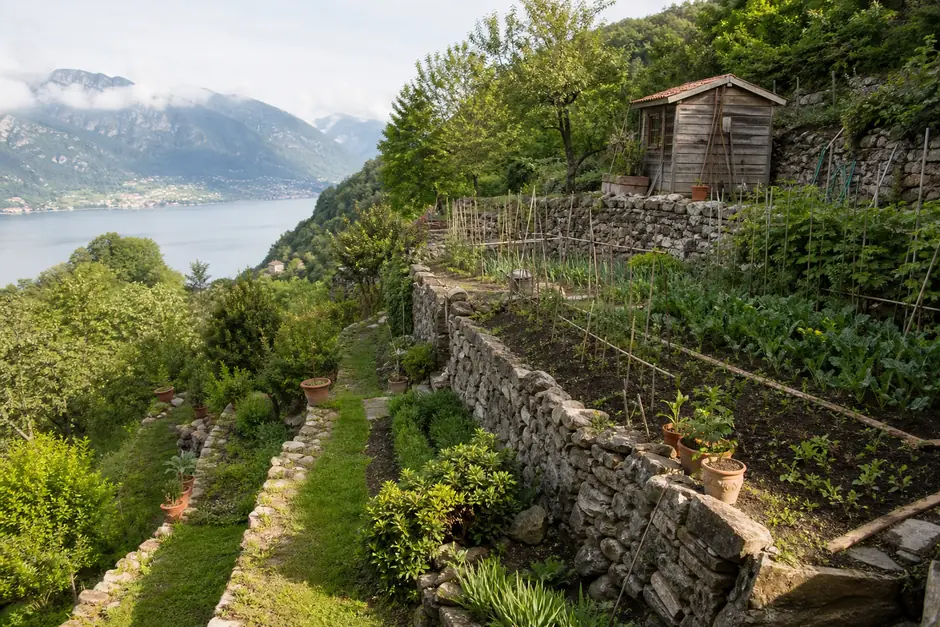 Orti terrazzati su un versante sopra un lago, con muretti a secco e un capanno di legno (immagine generata con AI)
