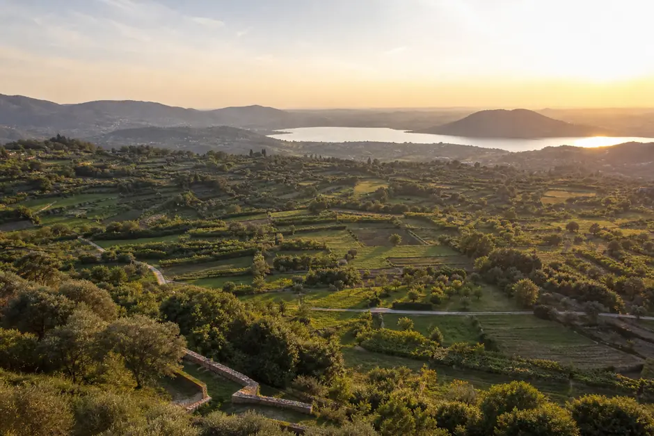 Mosaico di campi e frutteti su colline lombarde all'ora dorata, con un lago all'orizzonte (immagine generata con AI)